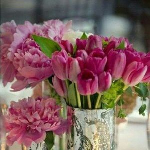 Meet your Posher, Brenda